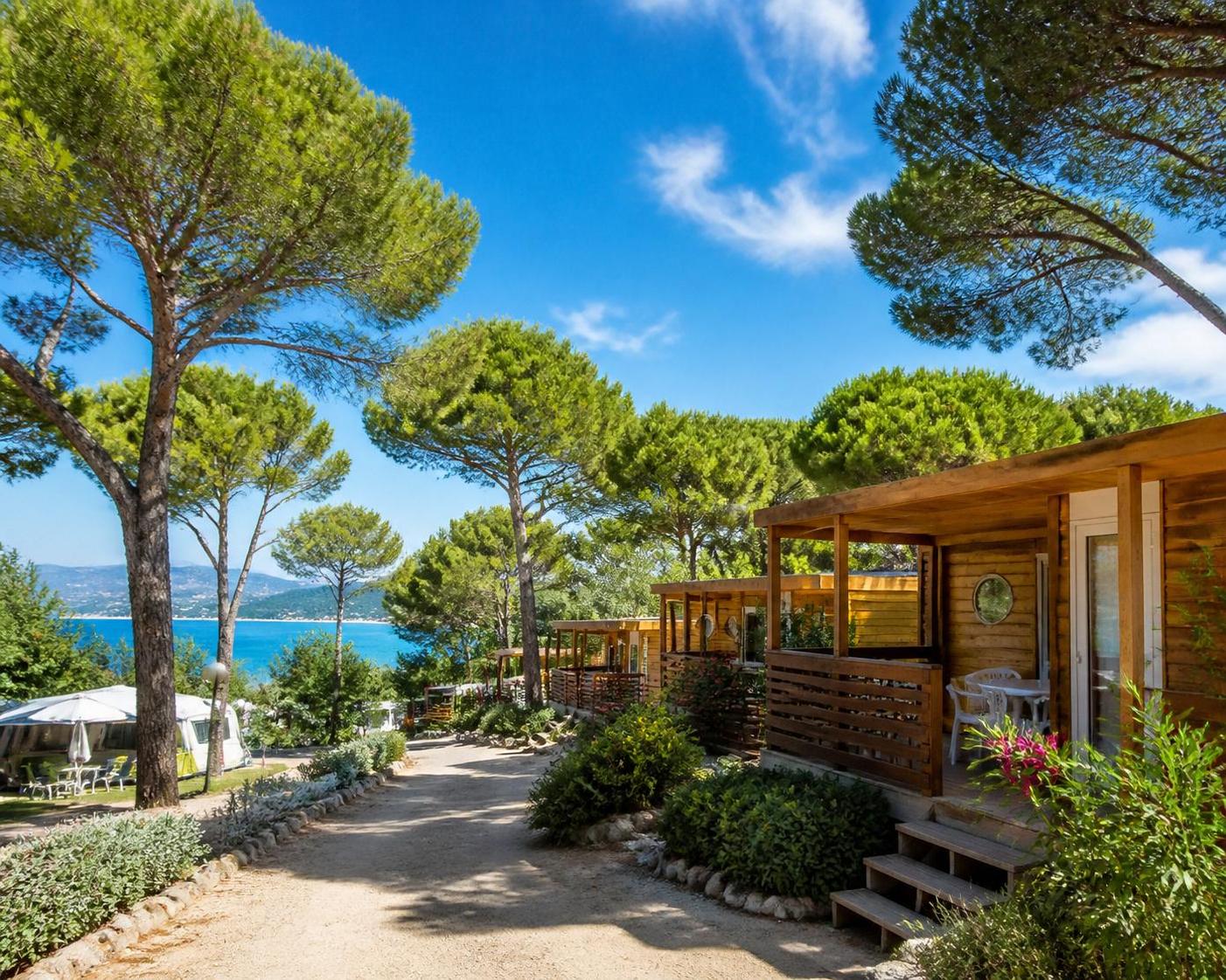 découvrez le camping club le trianon, le village vacances idéal pour des vacances en famille réussies. profitez d'activités variées, d'un cadre convivial et de services adaptés à tous les âges.