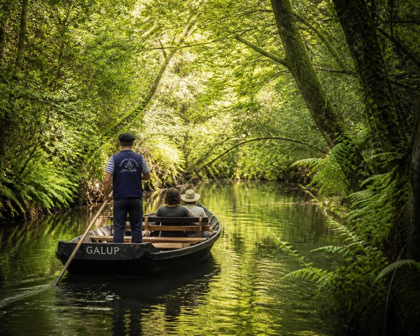 découvrez le batelier du courant d'huchet et vivez une immersion unique au cœur de ce joyau naturel préservé, entre paysages d'exception et biodiversité remarquable.