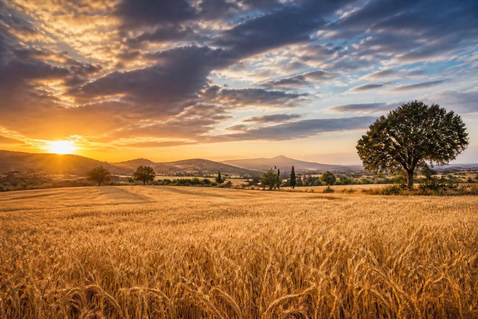 découvrez pourquoi suivre le climat local est essentiel pour optimiser vos récoltes grâce à une météo agricole précise et adaptée à vos besoins.