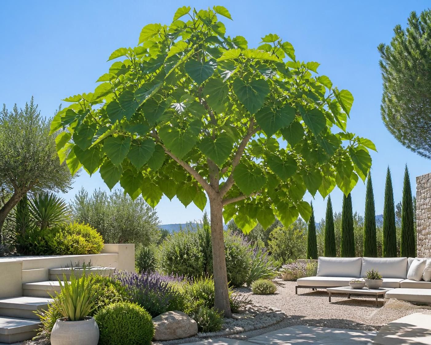 découvrez le paulownia, l’arbre miracle idéal pour un jardin design, alliant beauté, croissance rapide et respect de l'environnement. transformez votre espace extérieur de manière écoresponsable.