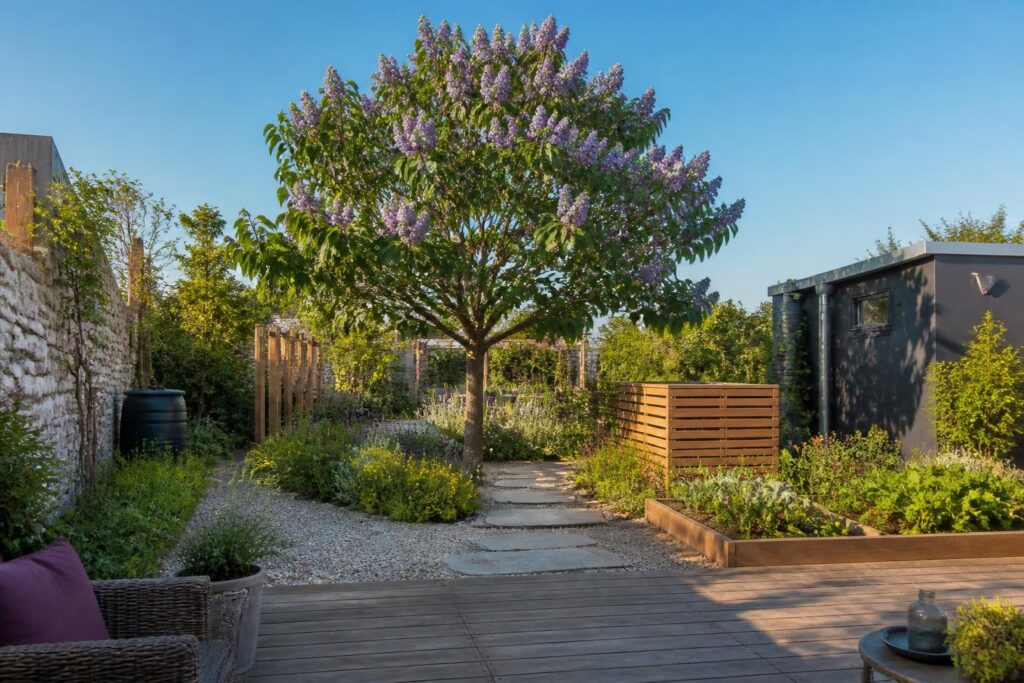 découvrez le paulownia, l'arbre miracle idéal pour un jardin design et écoresponsable, alliant beauté, rapidité de croissance et respect de l'environnement.