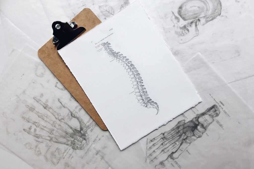 I was feeling some Halloween spirit in studio today after I found some of my old wax transfers of medical drawings! The diagrams are from the Grey’s Anatomy medical book. Happy Halloween!