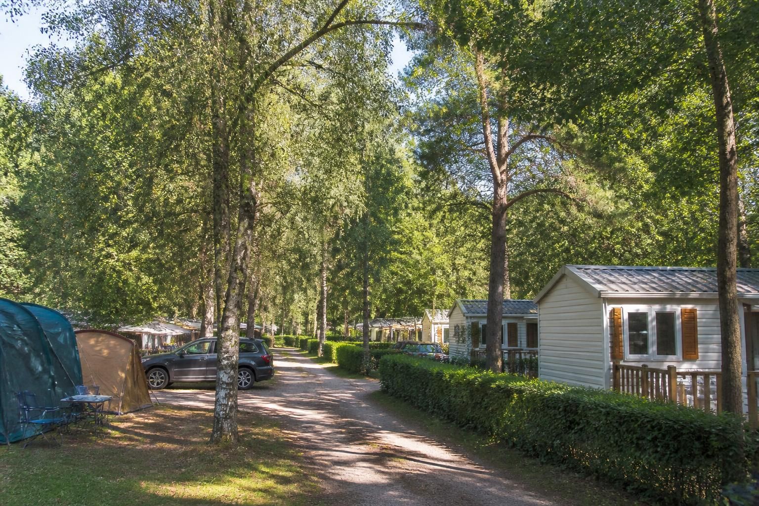 découvrez le camping la musardière à milly, un havre de paix alliant nature préservée et confort moderne pour des vacances inoubliables en pleine sérénité.